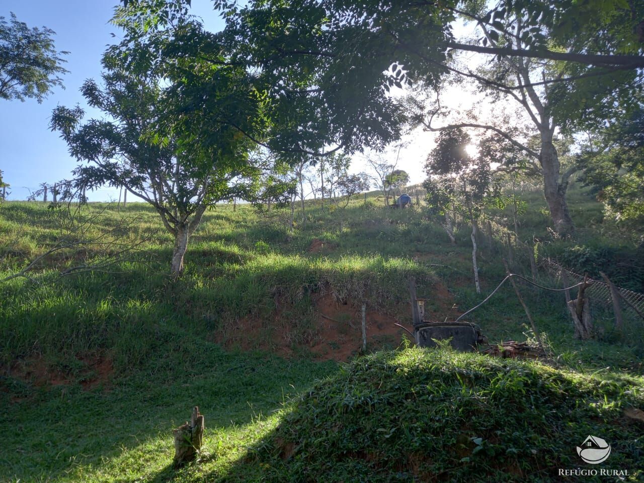 Fazenda à venda com 2 quartos, 25300m² - Foto 6