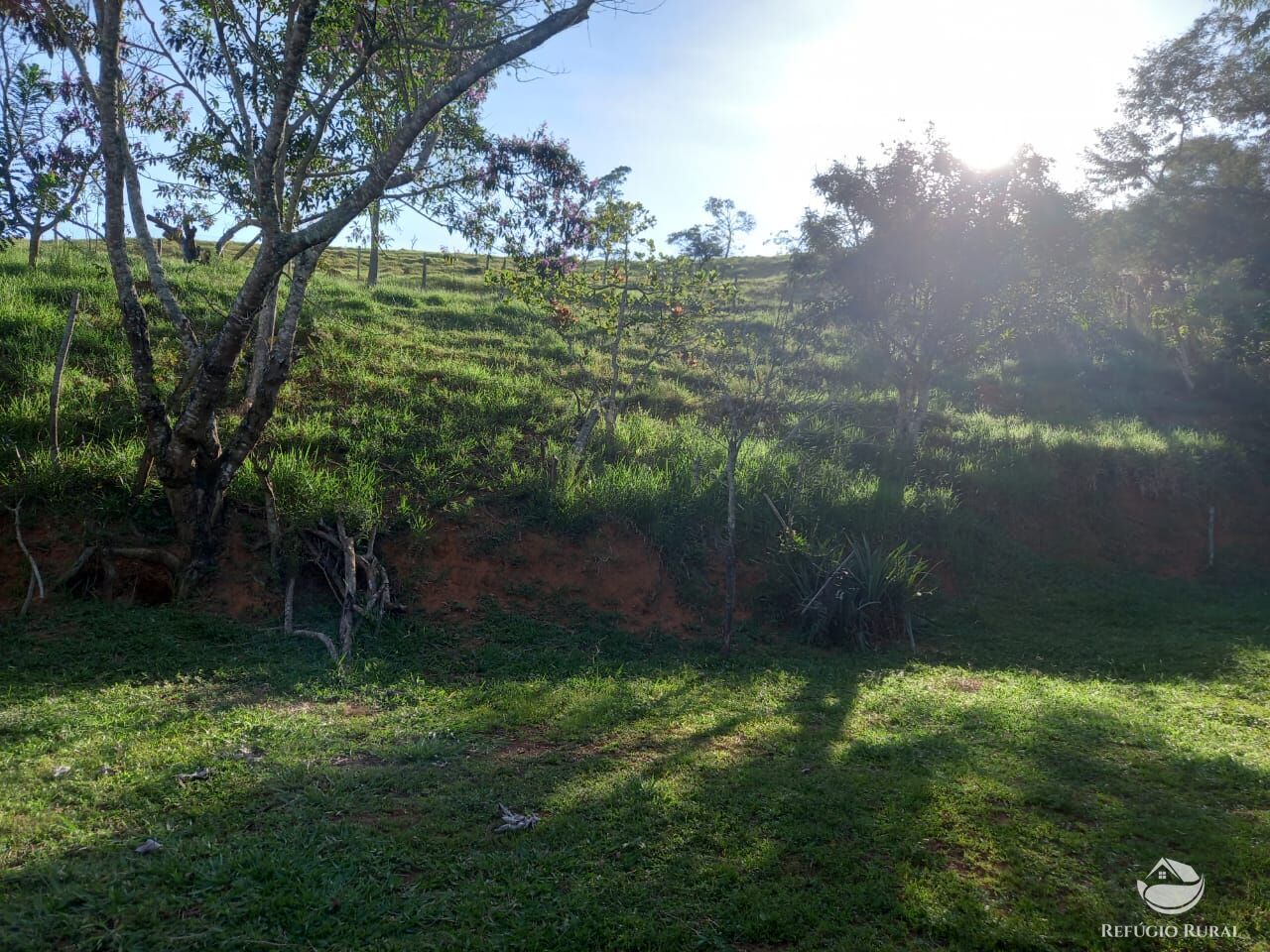 Fazenda à venda com 2 quartos, 25300m² - Foto 7