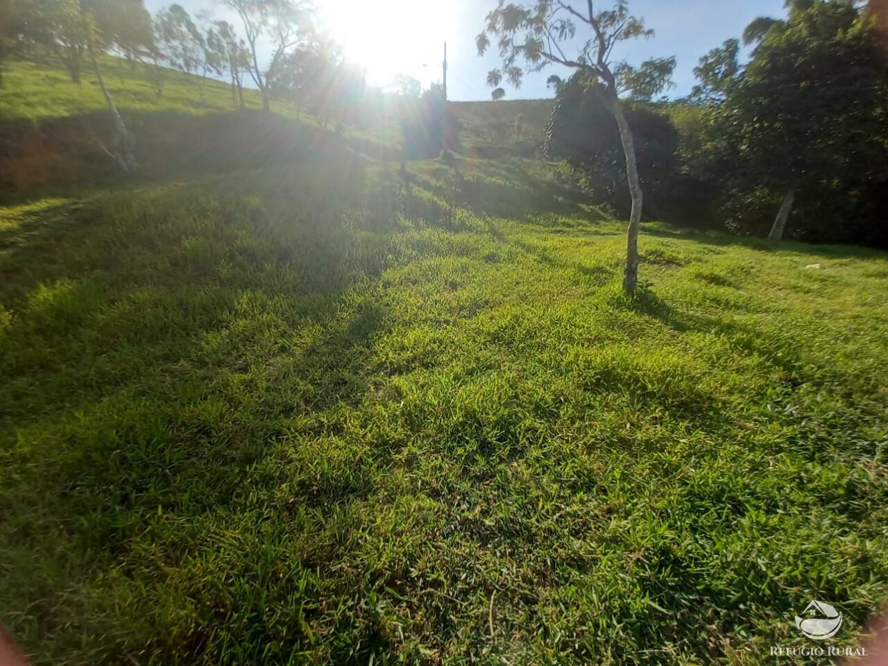 Fazenda à venda com 2 quartos, 25300m² - Foto 32