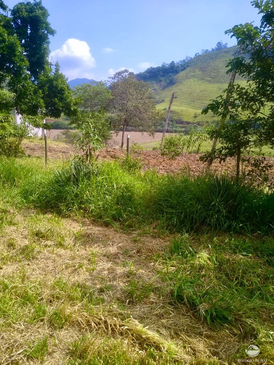 Fazenda à venda com 2 quartos, 12584000m² - Foto 36