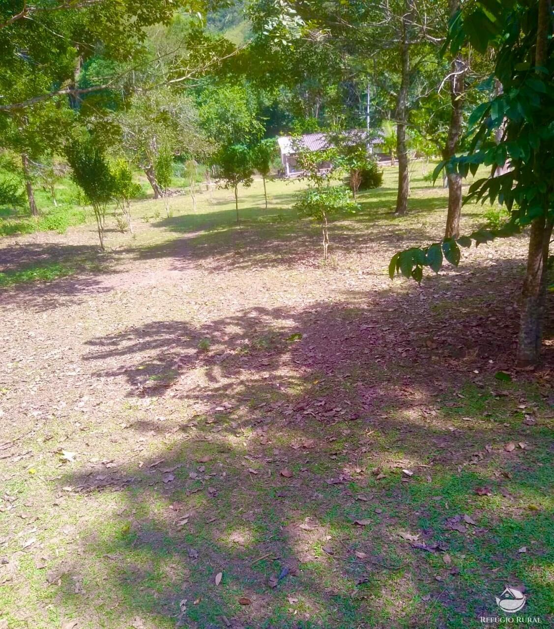 Fazenda à venda com 2 quartos, 12584000m² - Foto 24