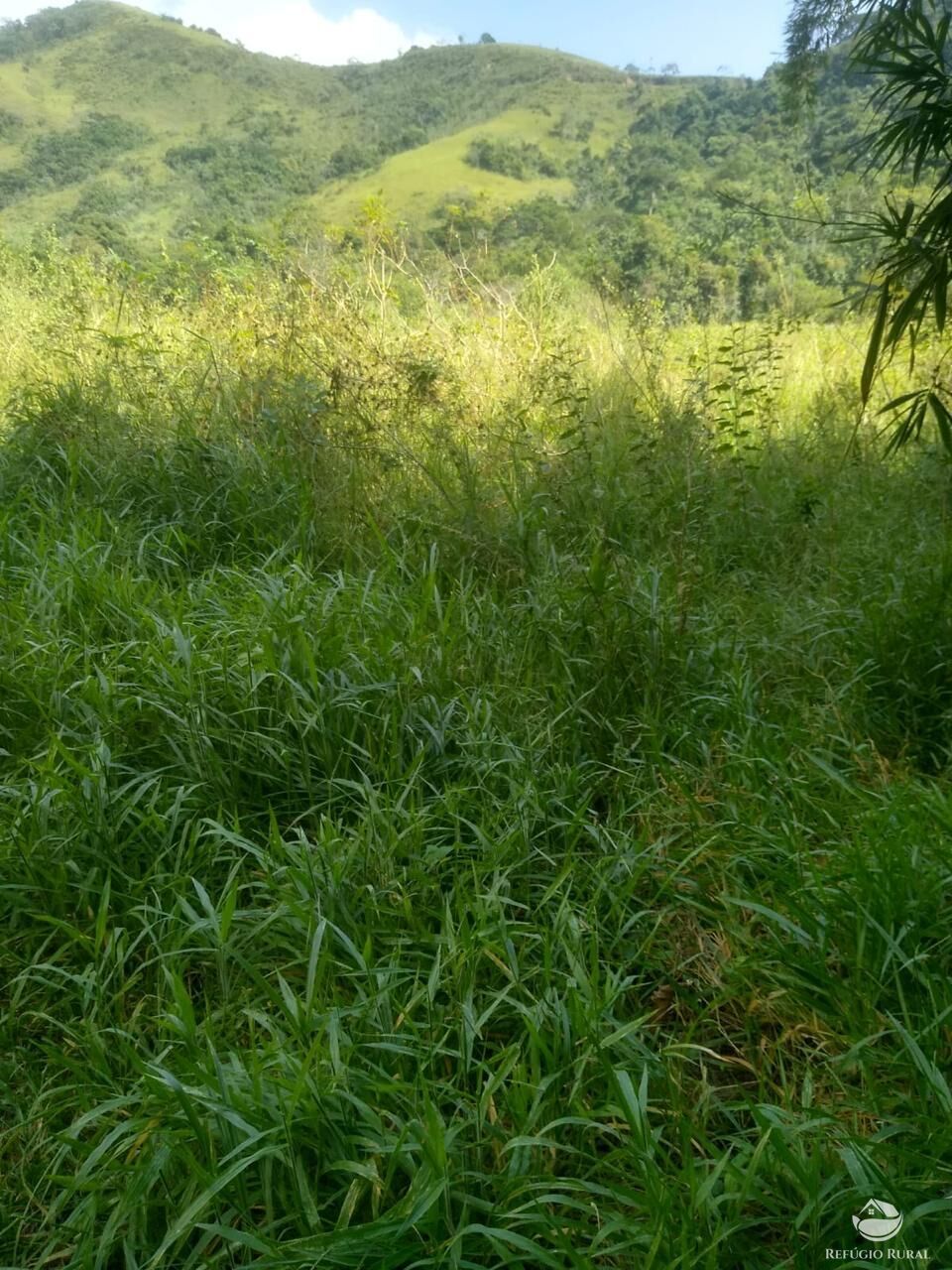 Fazenda à venda com 2 quartos, 12584000m² - Foto 28