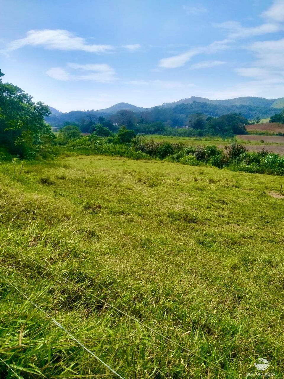 Fazenda à venda com 2 quartos, 12584000m² - Foto 16