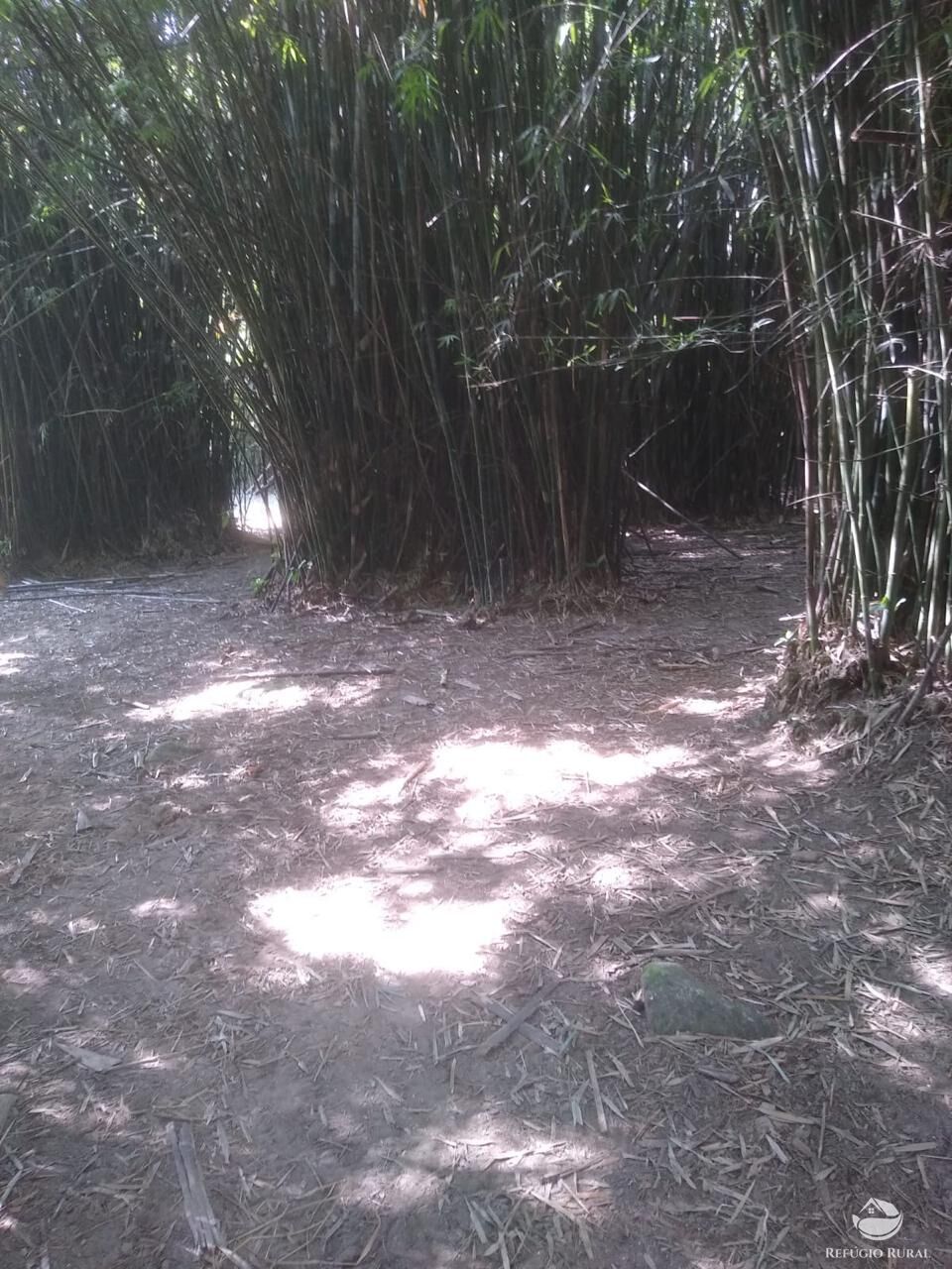 Fazenda à venda com 2 quartos, 12584000m² - Foto 29