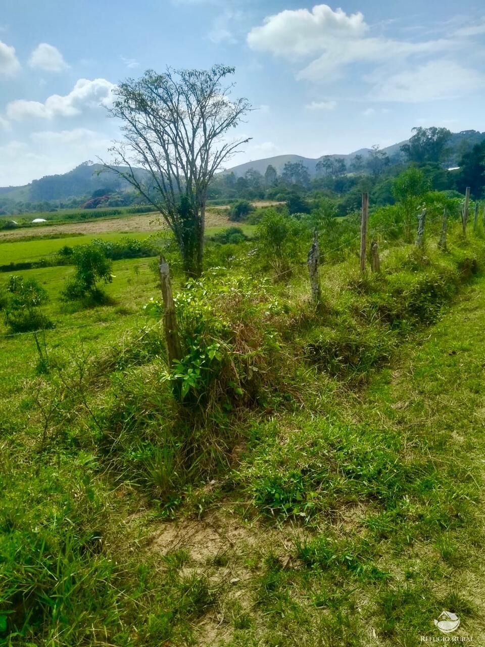 Fazenda à venda com 2 quartos, 12584000m² - Foto 12