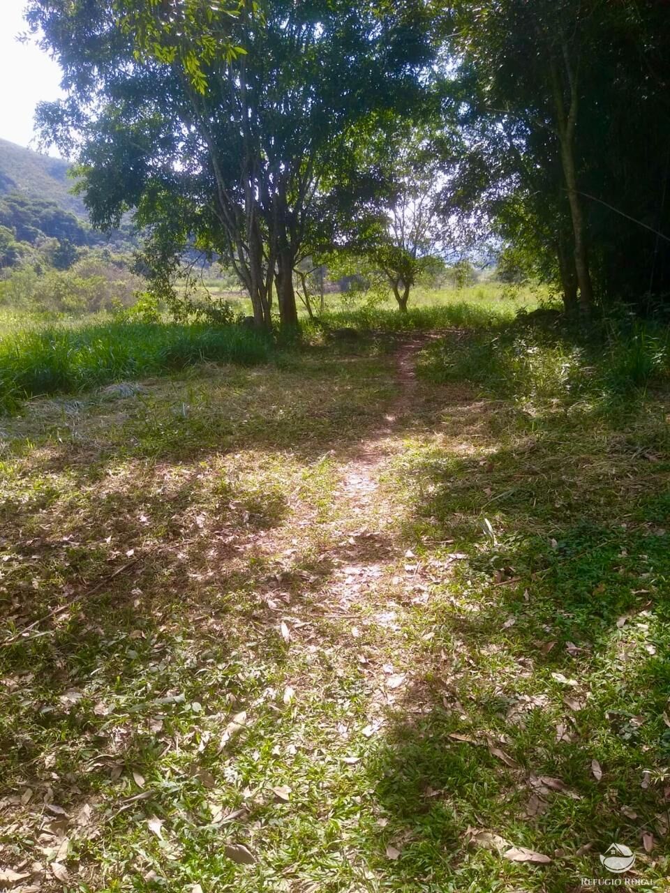 Fazenda à venda com 2 quartos, 12584000m² - Foto 25