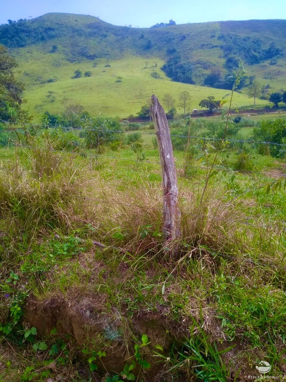 Fazenda à venda com 2 quartos, 12584000m² - Foto 7
