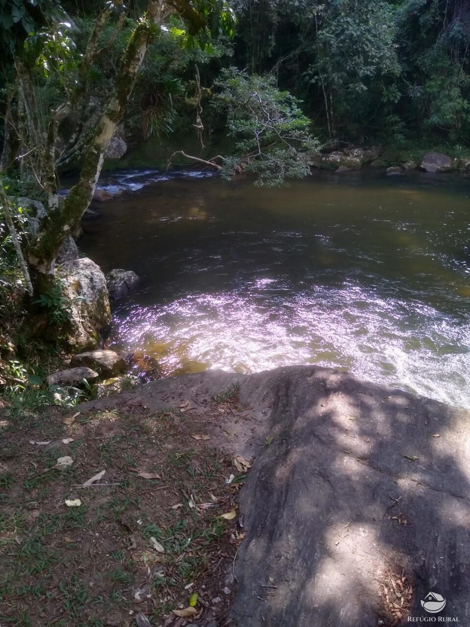 Fazenda à venda com 2 quartos, 12584000m² - Foto 17