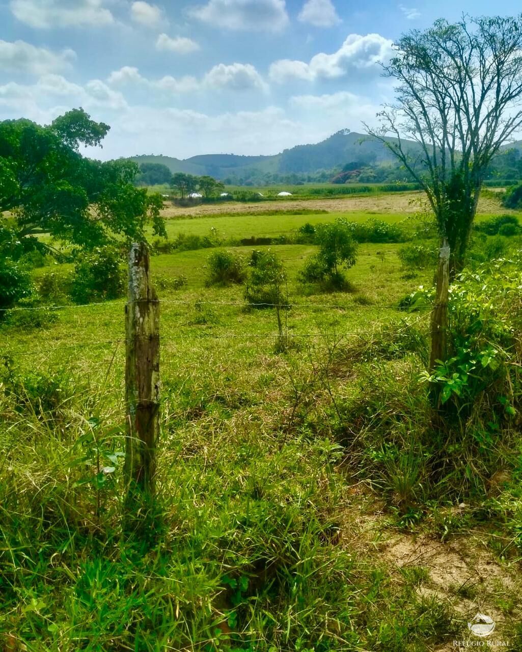 Fazenda à venda com 2 quartos, 12584000m² - Foto 8
