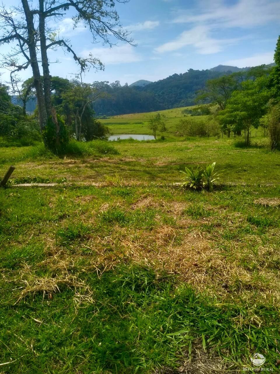 Fazenda à venda com 2 quartos, 12584000m² - Foto 3