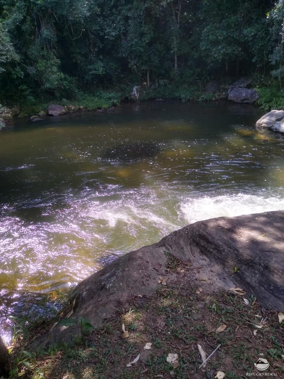 Fazenda à venda com 2 quartos, 12584000m² - Foto 20