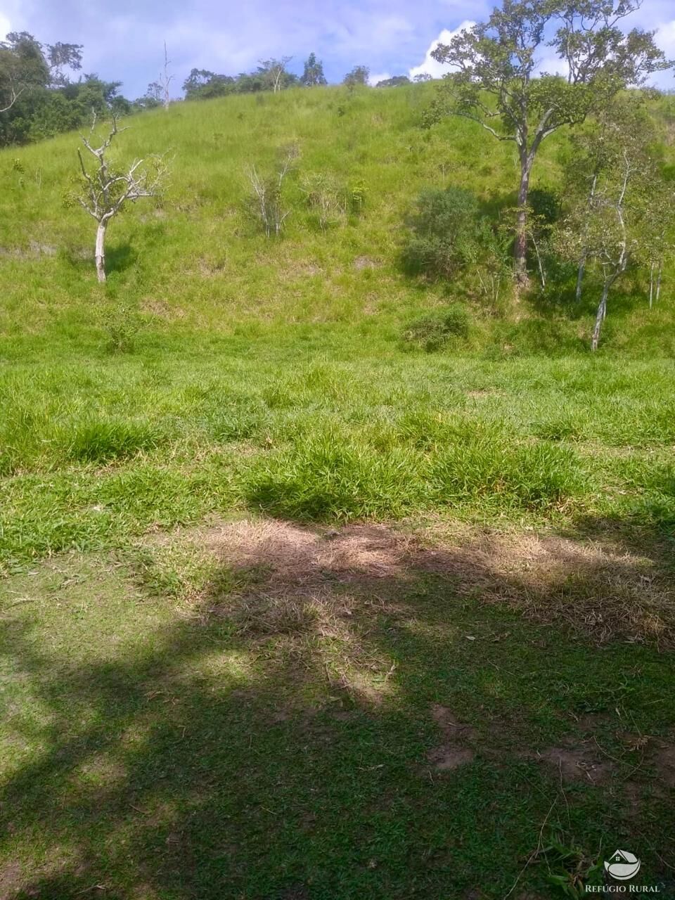Fazenda à venda com 2 quartos, 12584000m² - Foto 21