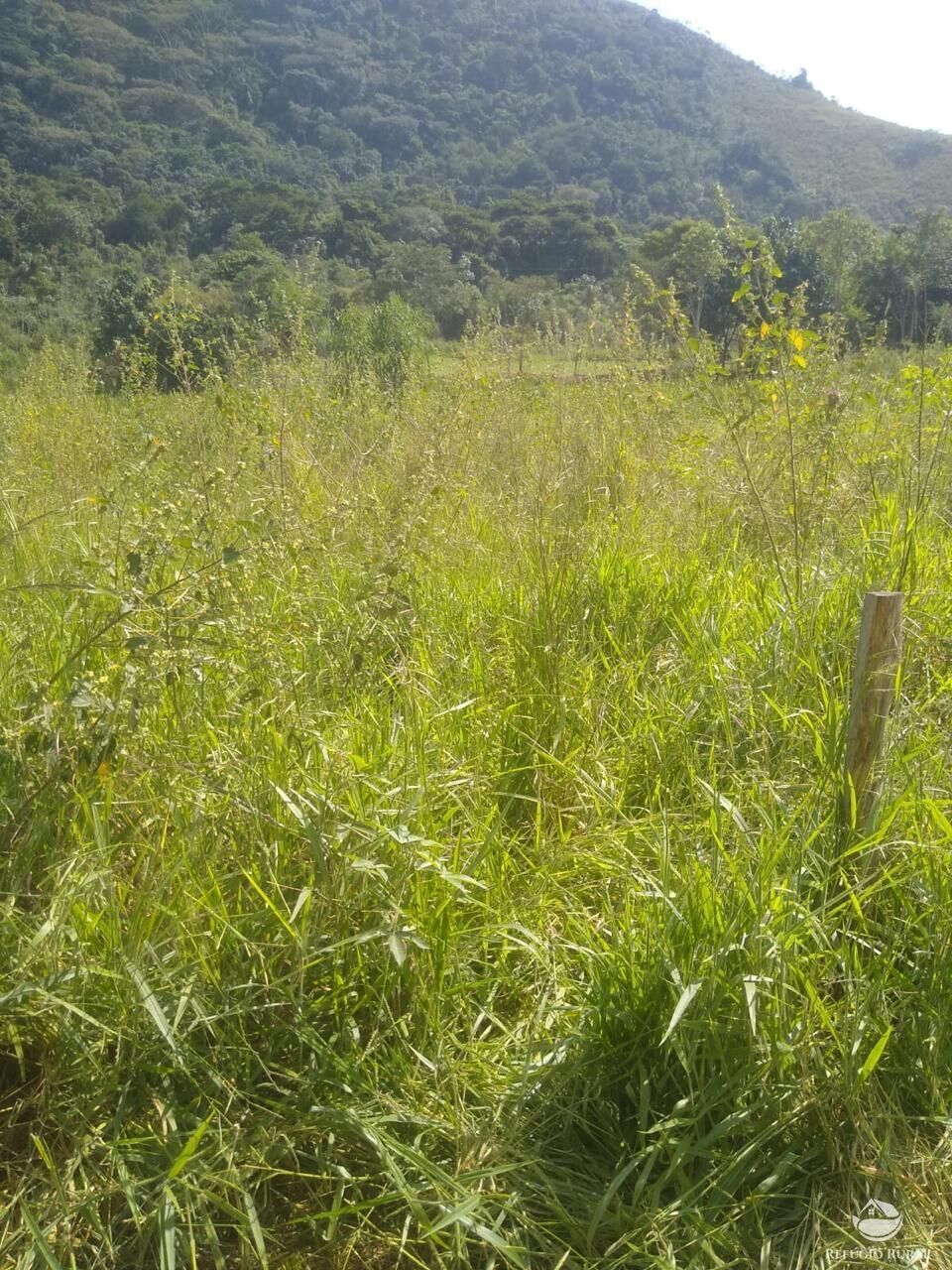 Fazenda à venda com 2 quartos, 12584000m² - Foto 26