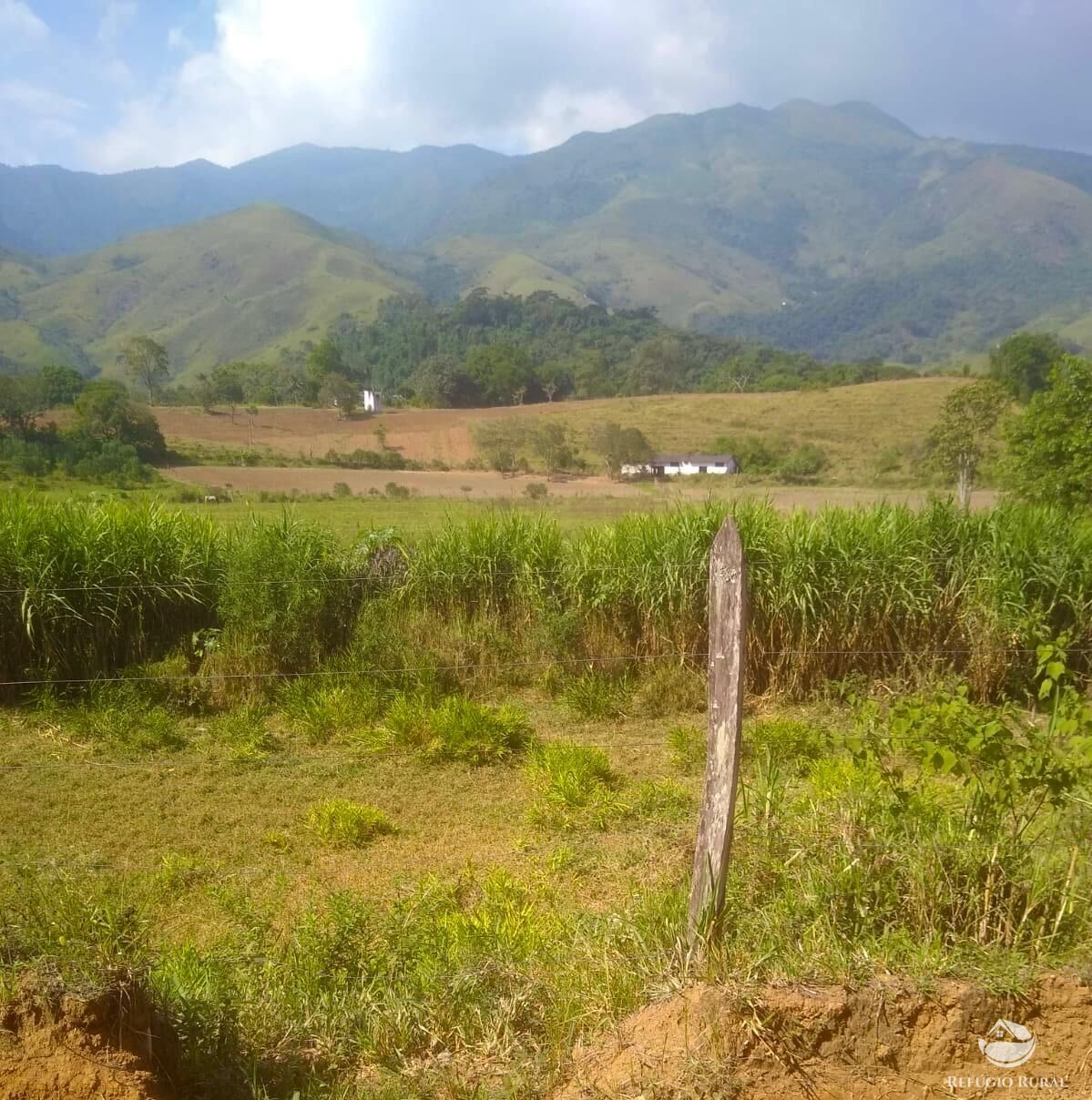 Fazenda à venda com 2 quartos, 12584000m² - Foto 35