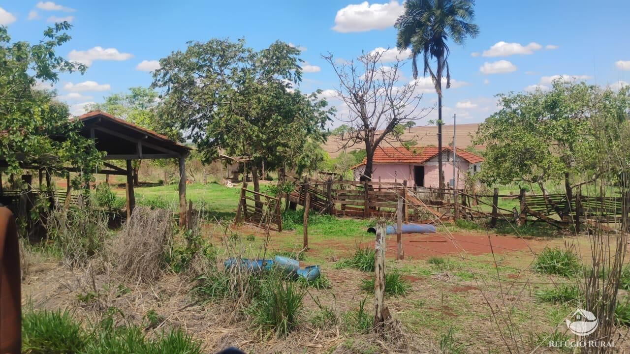 Fazenda, 87 hectares - Foto 5