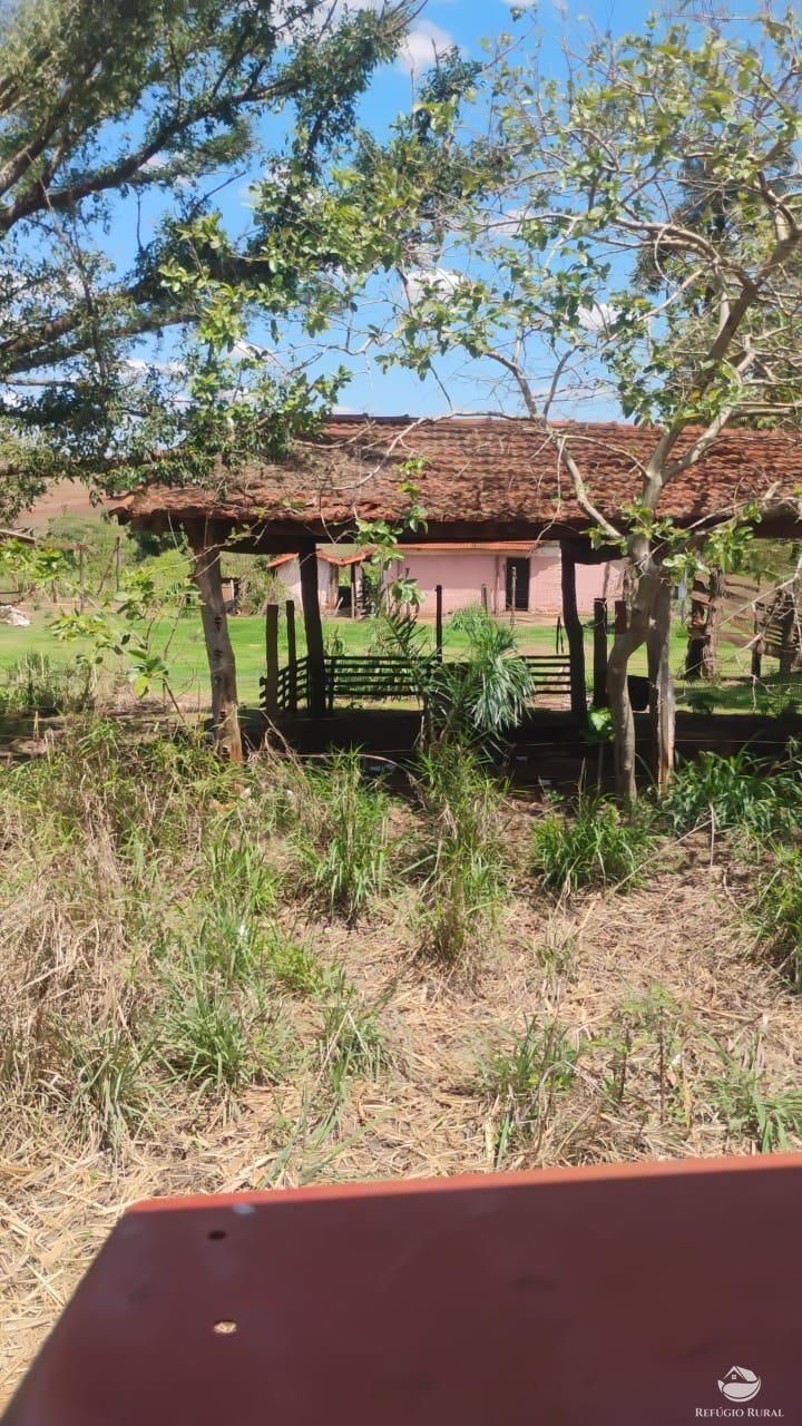 Fazenda, 87 hectares - Foto 6