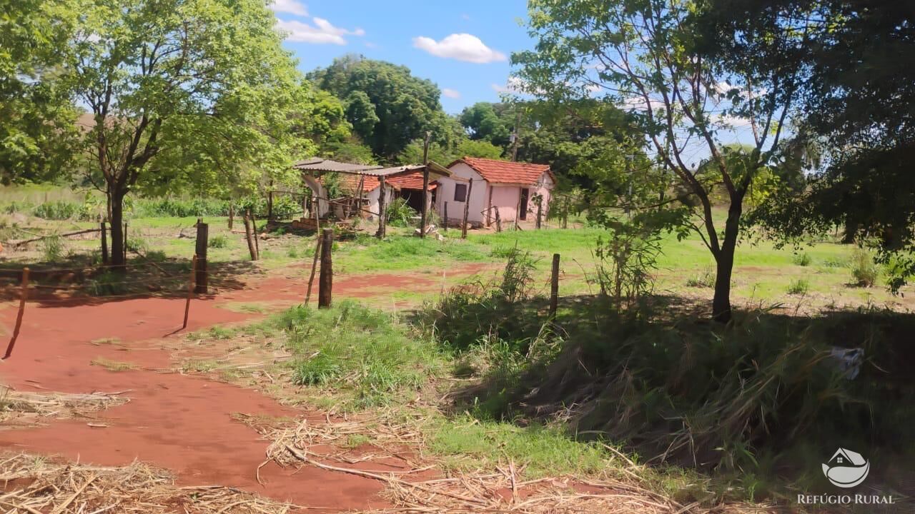 Fazenda, 87 hectares - Foto 4
