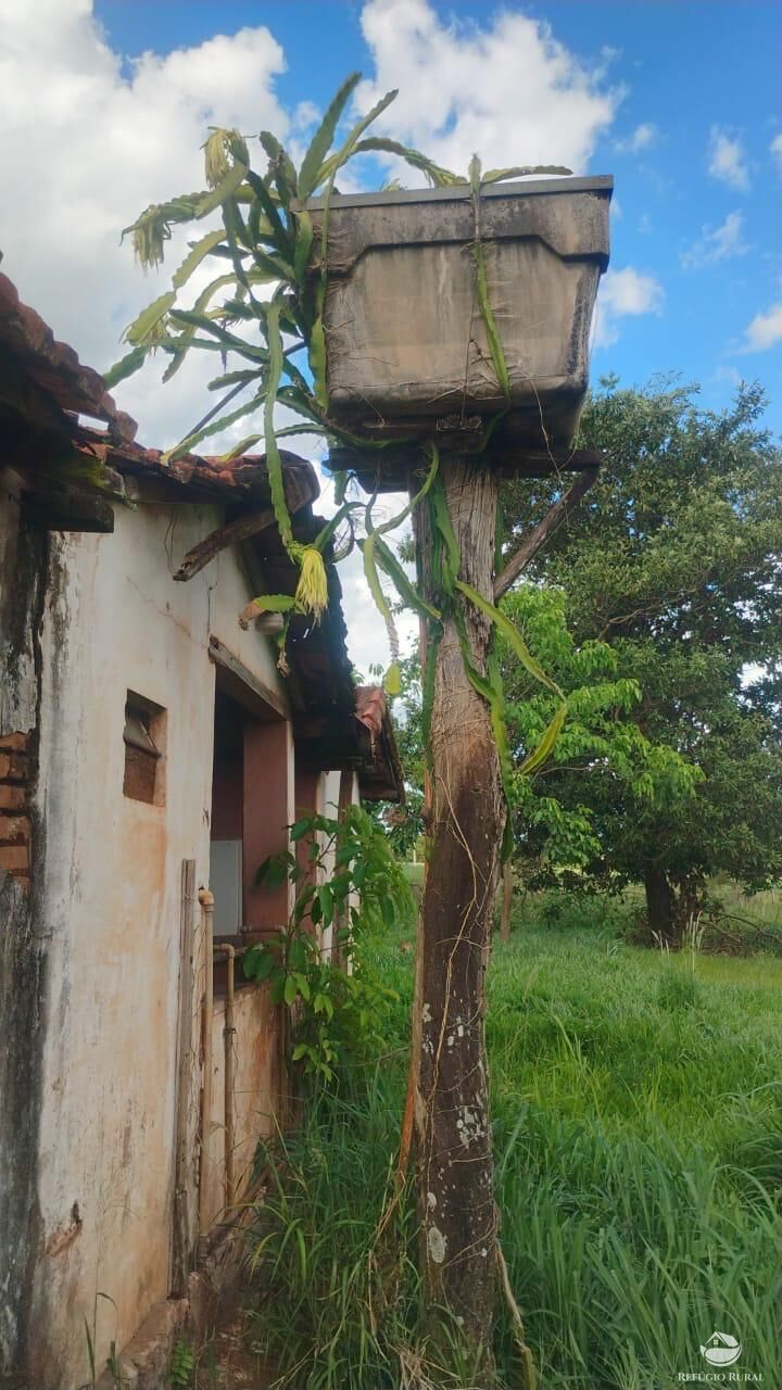 Fazenda, 87 hectares - Foto 8