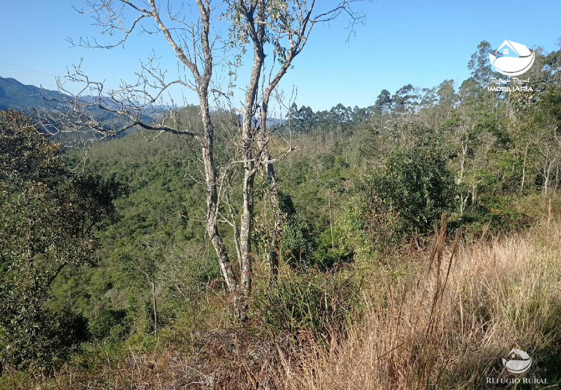 Terreno à venda, 1210000m² - Foto 15