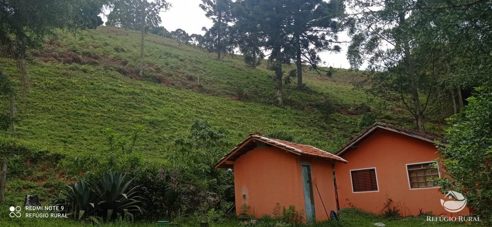 Fazenda à venda com 1 quarto, 217800m² - Foto 2