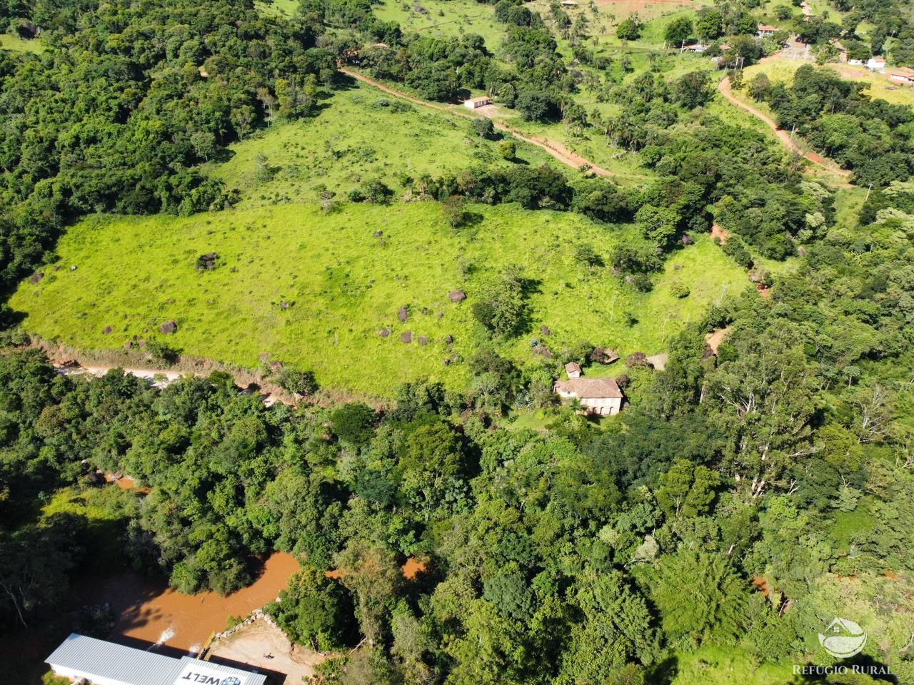 Fazenda à venda com 3 quartos, 48400m² - Foto 9