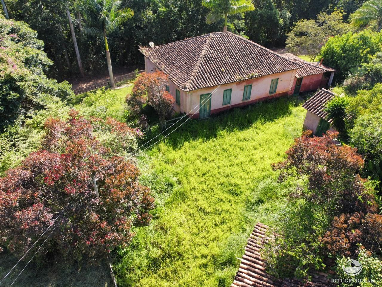 Fazenda à venda com 3 quartos, 48400m² - Foto 5