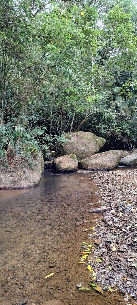 Fazenda à venda com 1 quarto, 25000m² - Foto 4