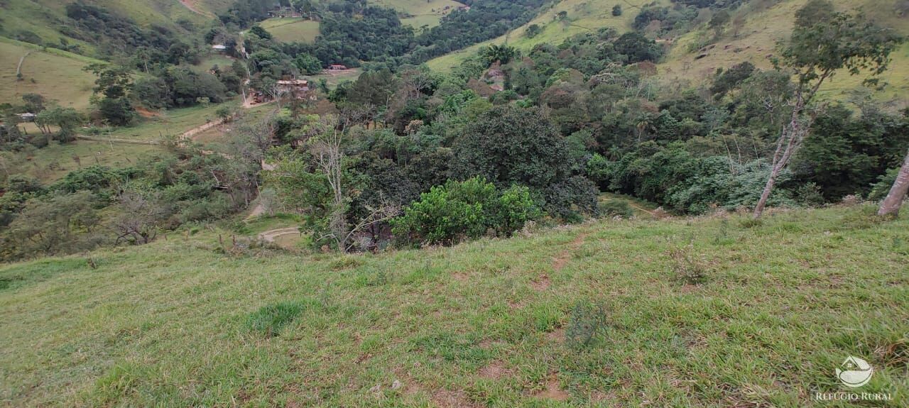 Fazenda à venda com 1 quarto, 25000m² - Foto 8