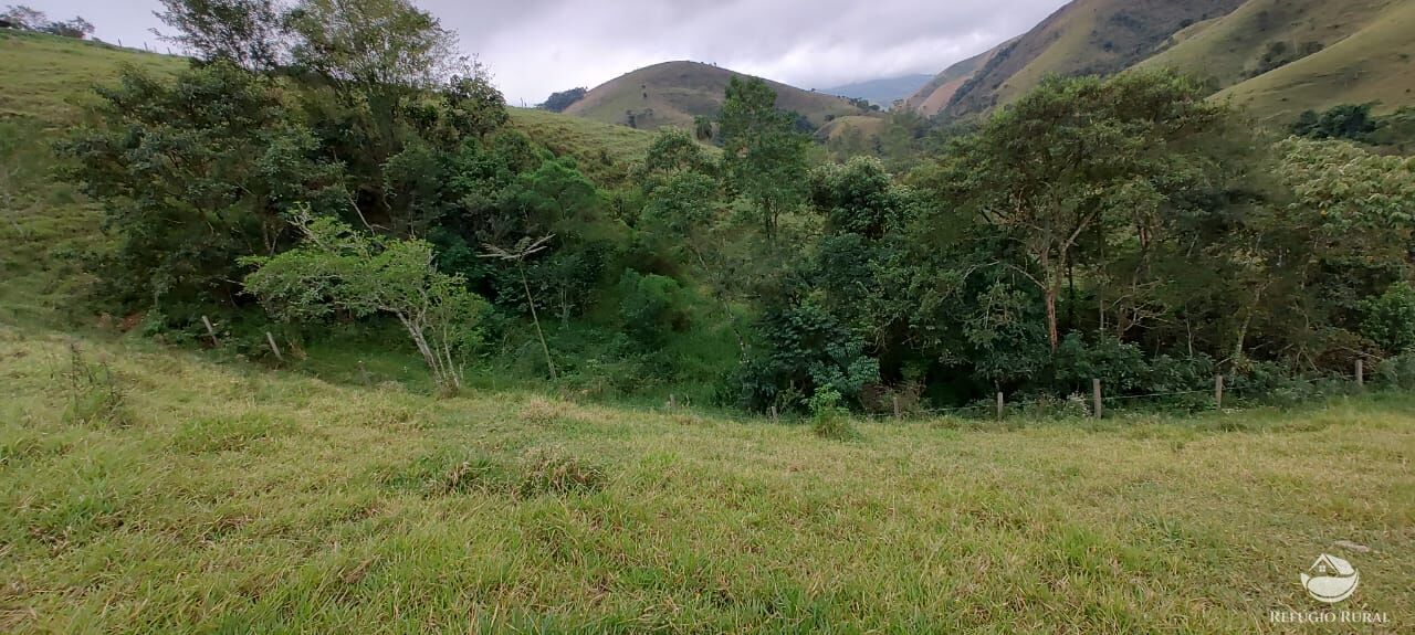 Fazenda à venda com 1 quarto, 25000m² - Foto 7