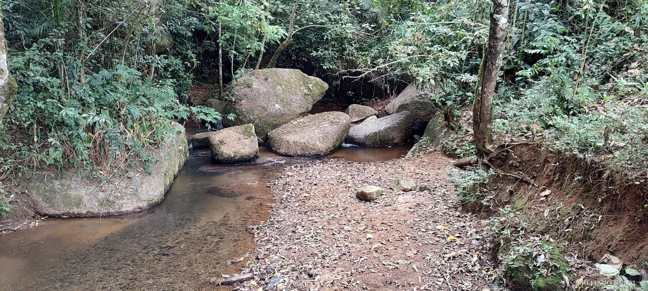 Fazenda à venda com 1 quarto, 25000m² - Foto 17