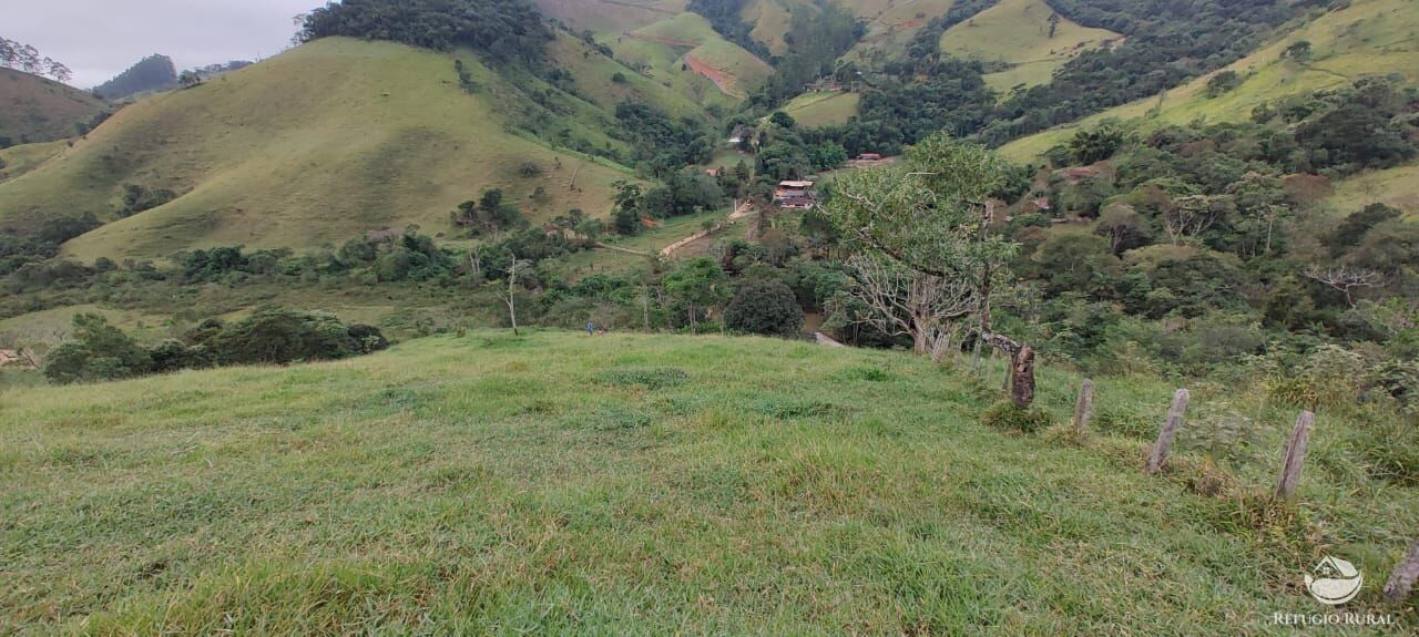 Fazenda à venda com 1 quarto, 25000m² - Foto 10