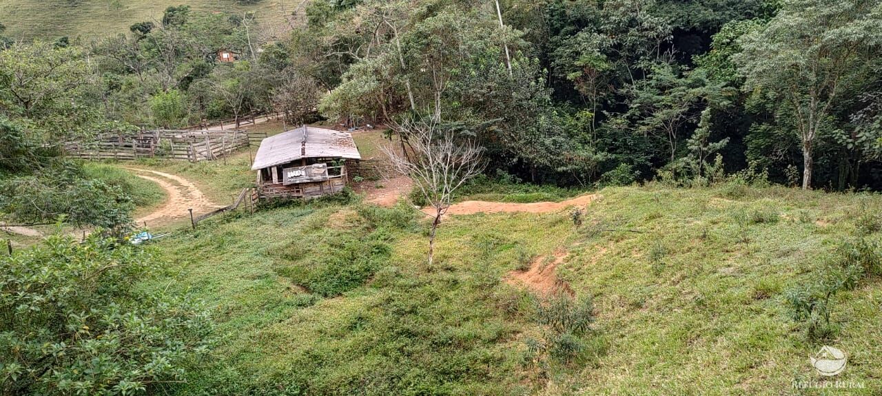 Fazenda à venda com 1 quarto, 25000m² - Foto 11