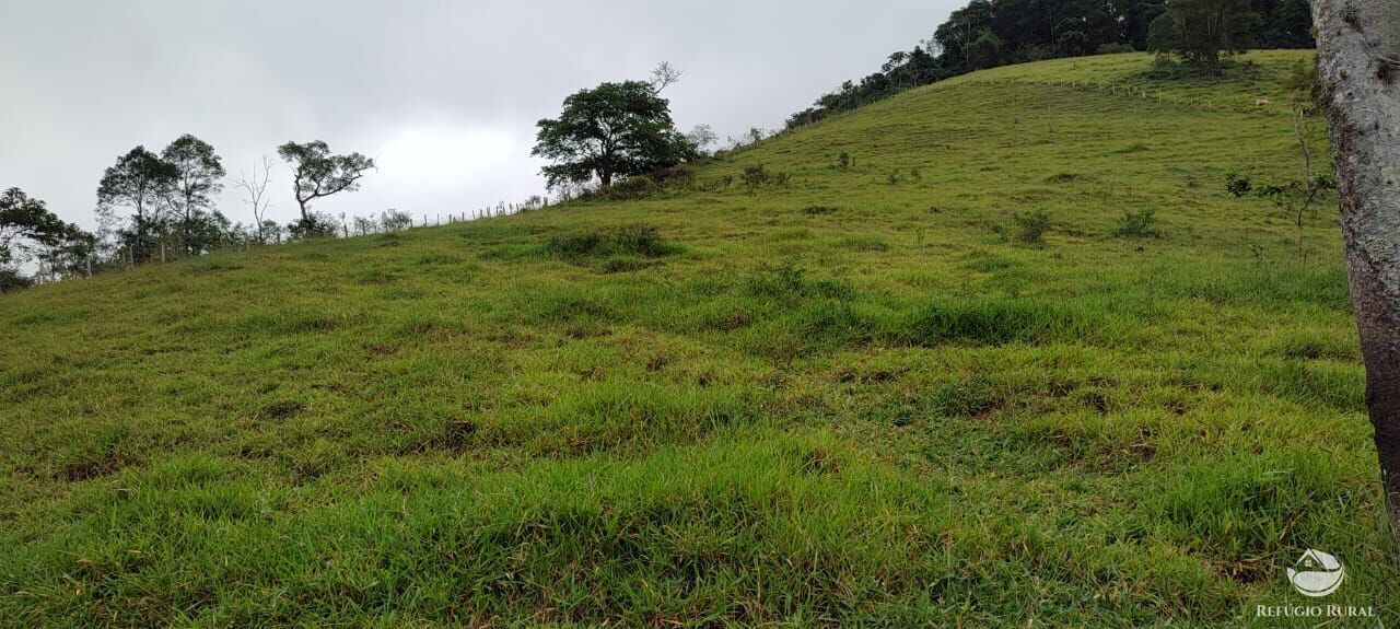 Fazenda à venda com 1 quarto, 25000m² - Foto 21