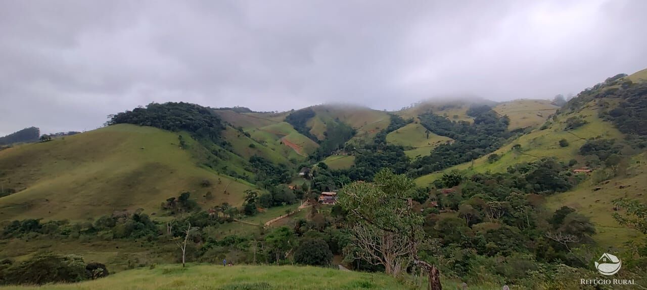 Fazenda à venda com 1 quarto, 25000m² - Foto 13