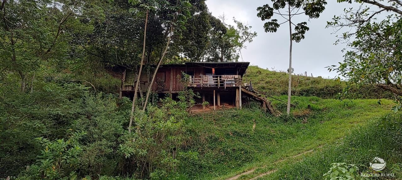 Fazenda à venda com 1 quarto, 25000m² - Foto 5