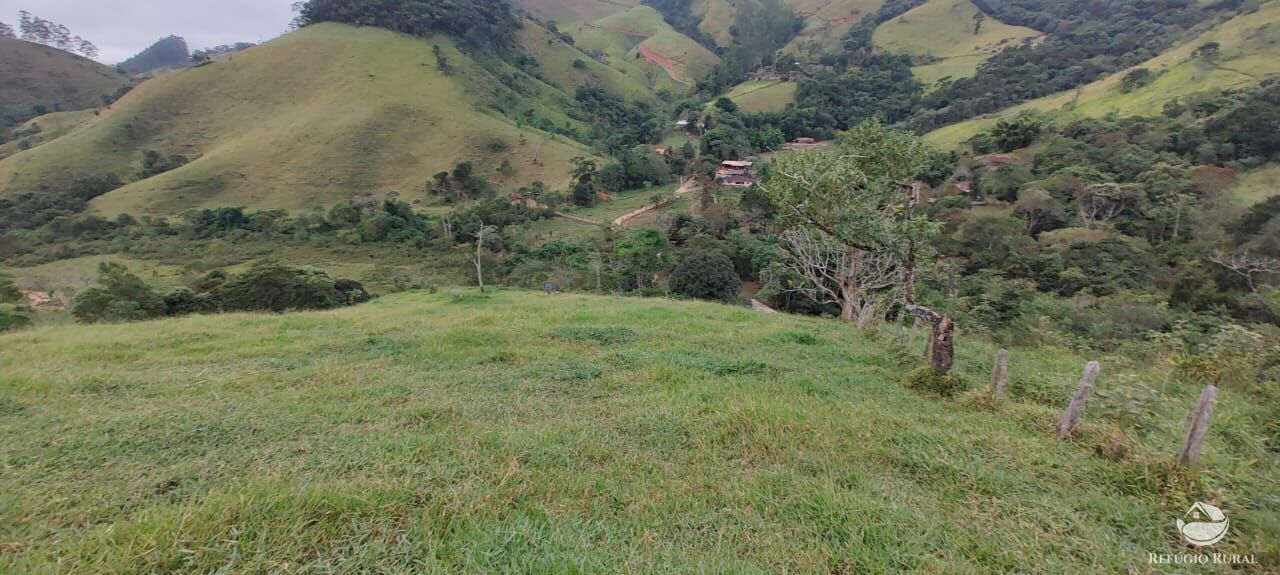 Fazenda à venda com 1 quarto, 25000m² - Foto 9