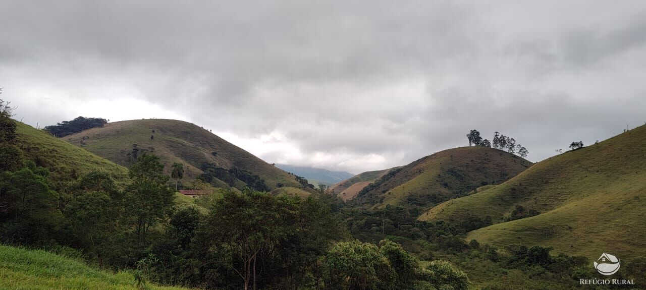 Fazenda à venda com 1 quarto, 25000m² - Foto 20