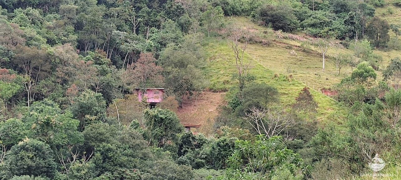 Fazenda à venda com 1 quarto, 25000m² - Foto 14