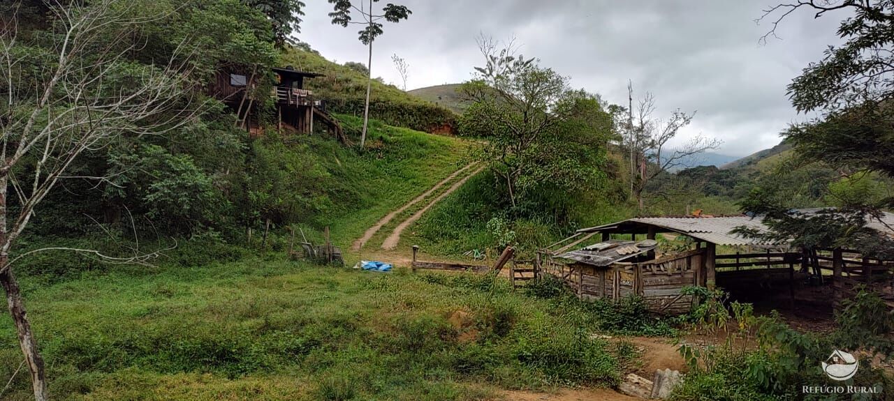 Fazenda à venda com 1 quarto, 25000m² - Foto 12