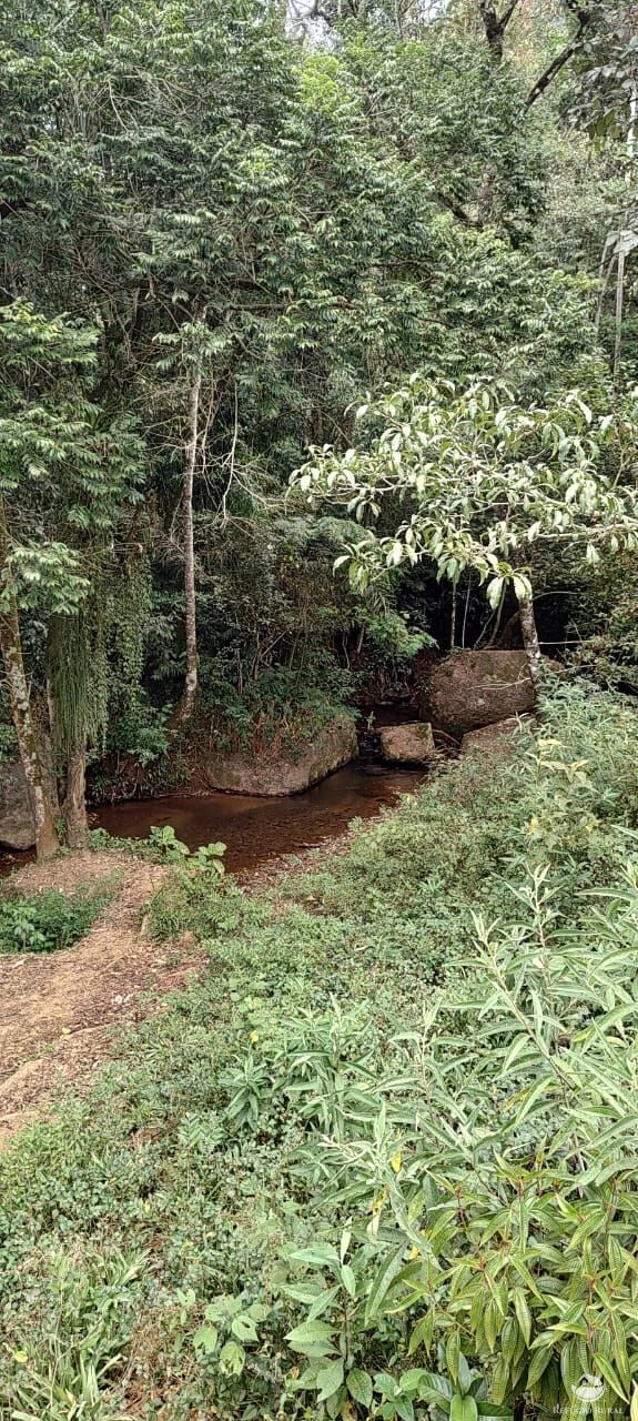 Fazenda à venda com 1 quarto, 25000m² - Foto 18