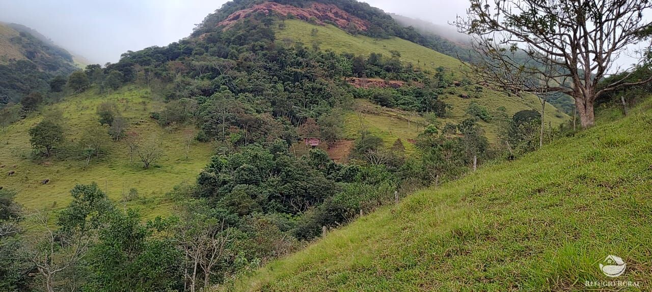 Fazenda à venda com 1 quarto, 25000m² - Foto 6