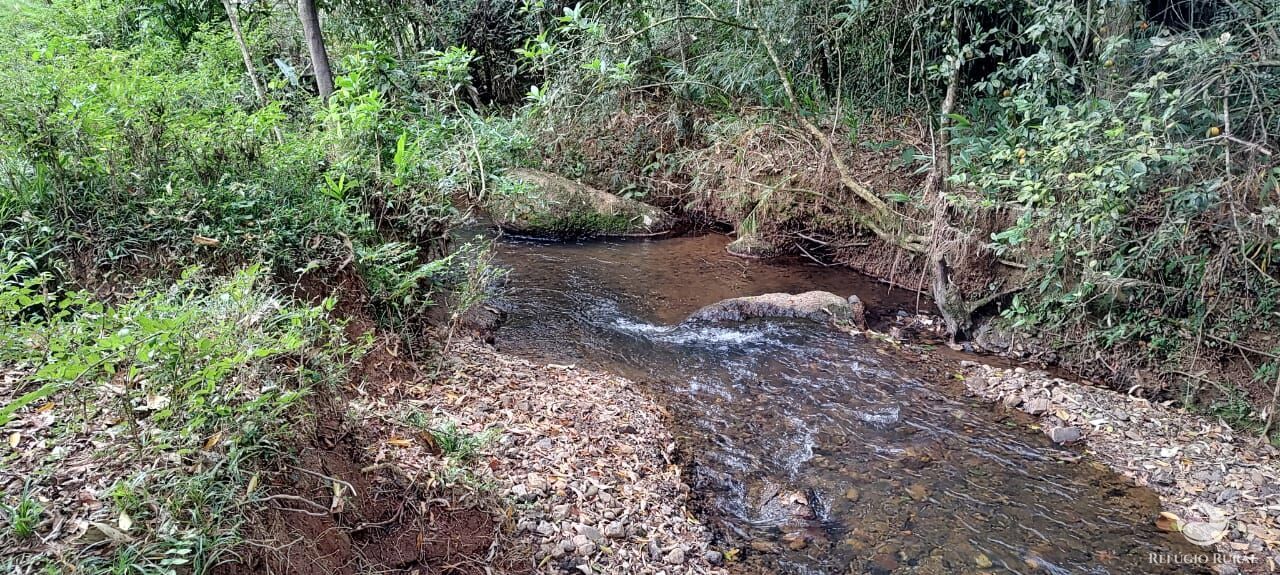 Fazenda à venda com 1 quarto, 25000m² - Foto 3