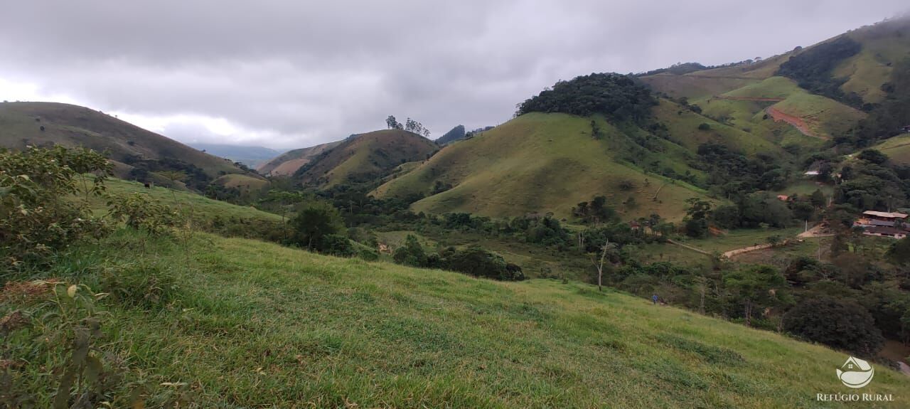 Fazenda à venda com 1 quarto, 25000m² - Foto 16