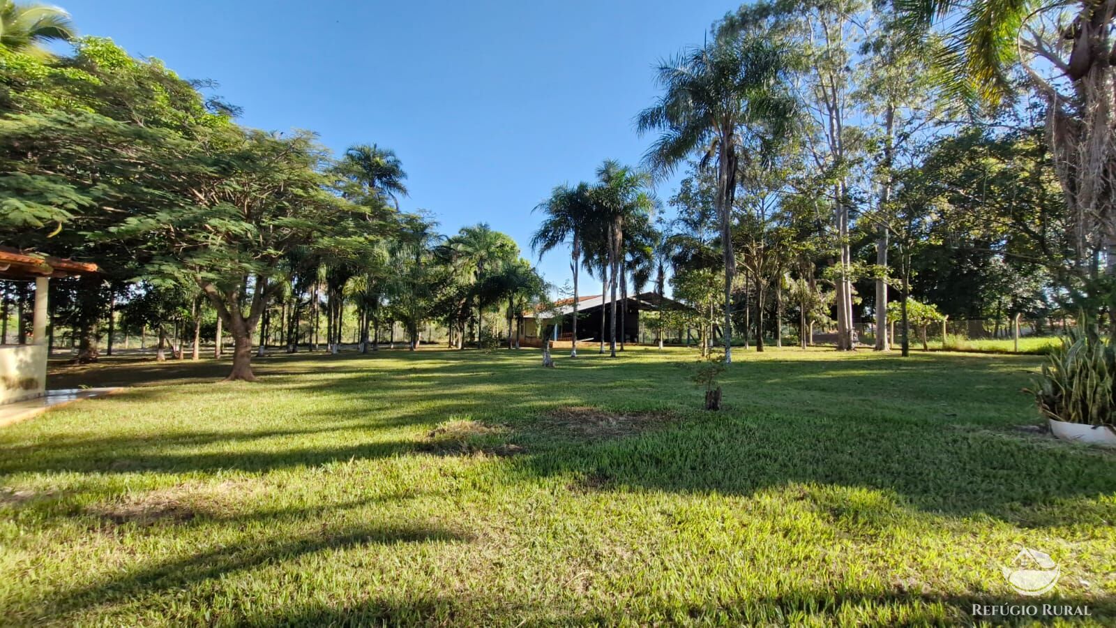 Fazenda à venda com 4 quartos, 822800m² - Foto 40