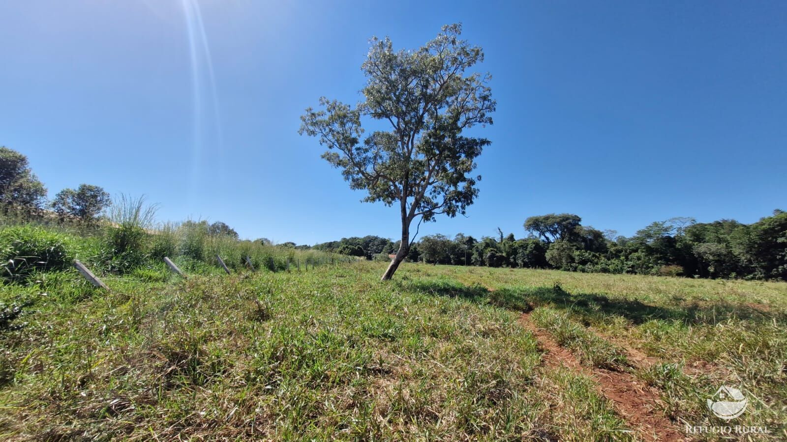 Fazenda à venda com 4 quartos, 822800m² - Foto 25