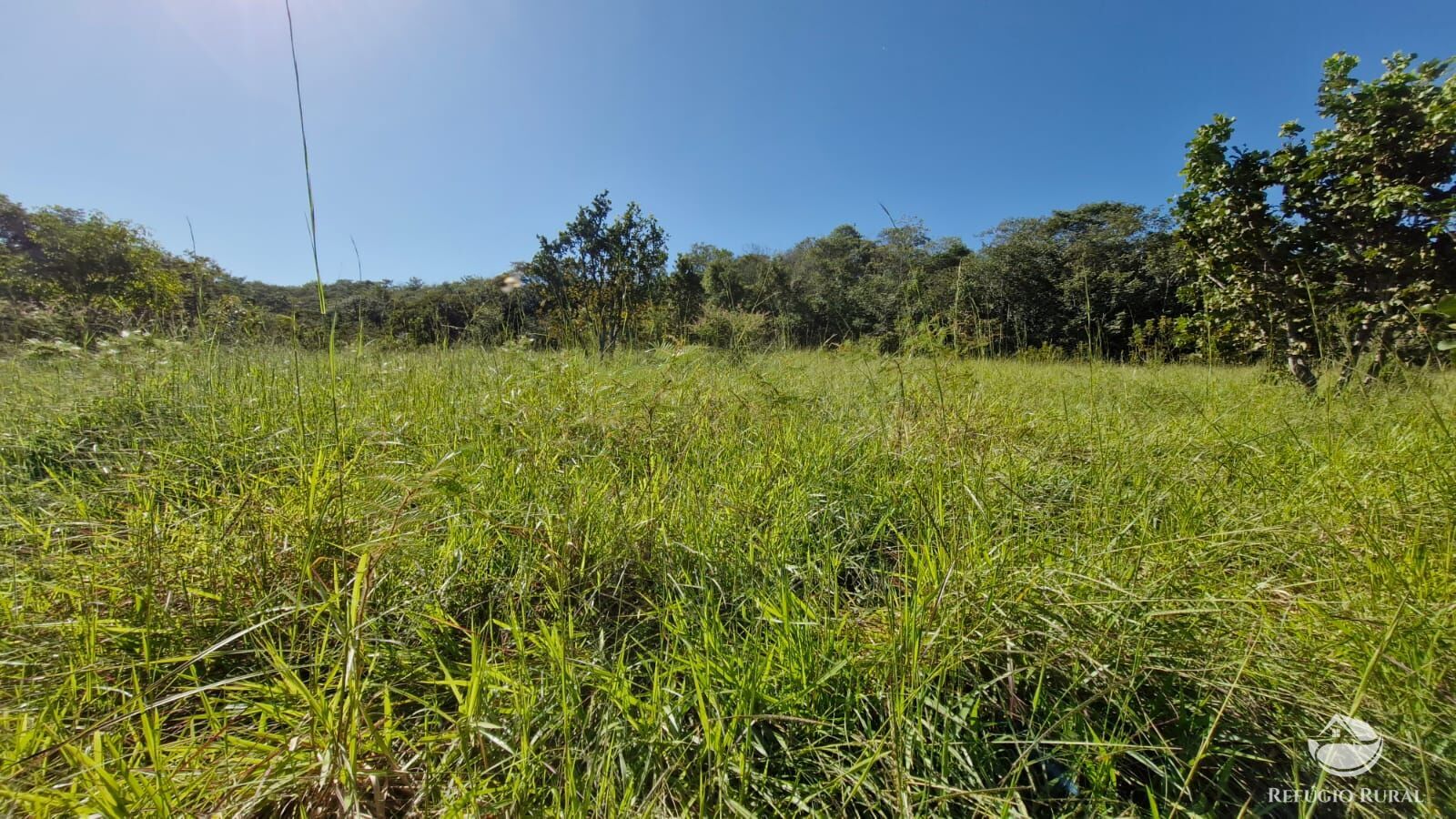 Fazenda à venda com 4 quartos, 822800m² - Foto 11