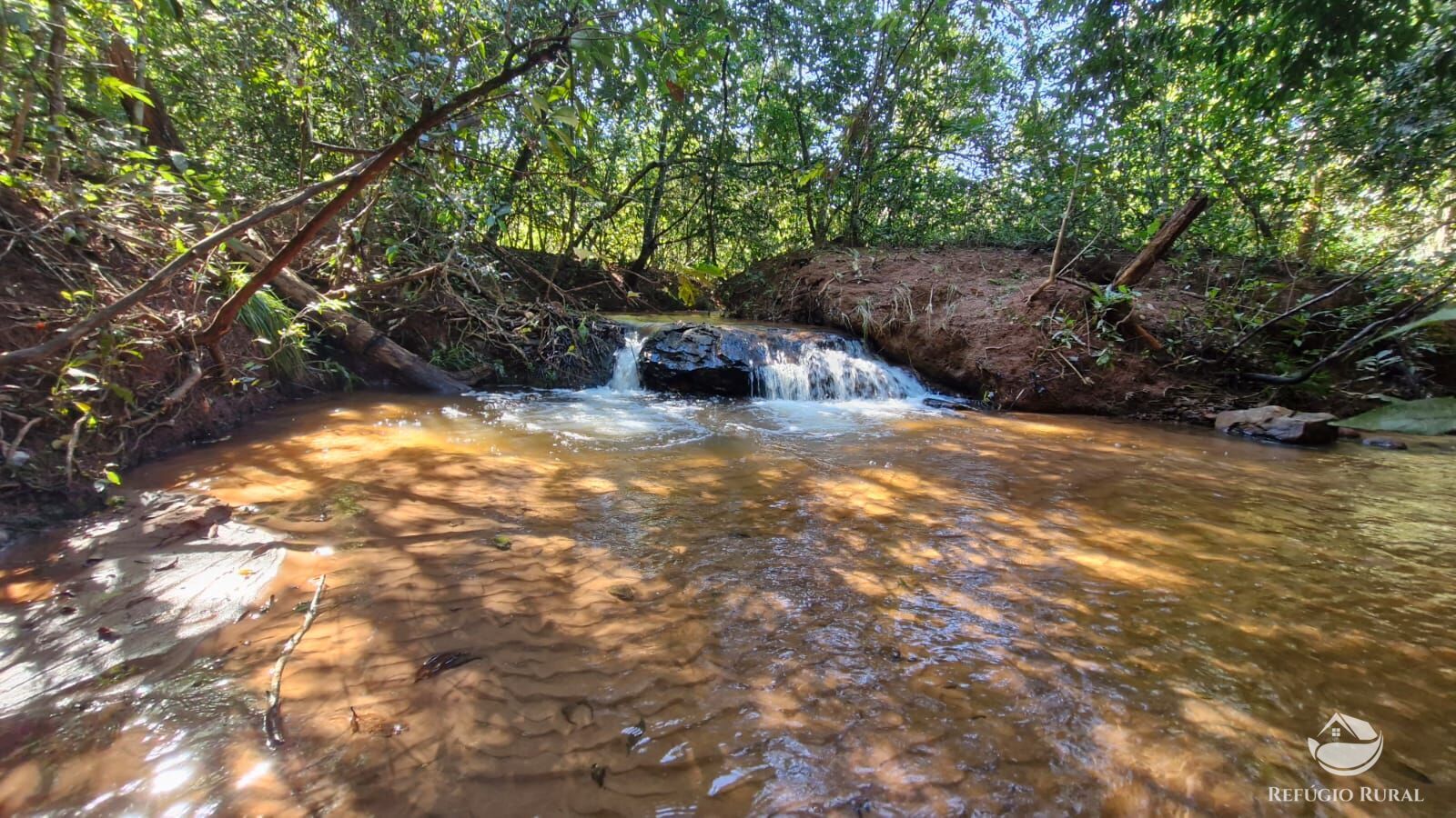 Fazenda à venda com 4 quartos, 822800m² - Foto 4