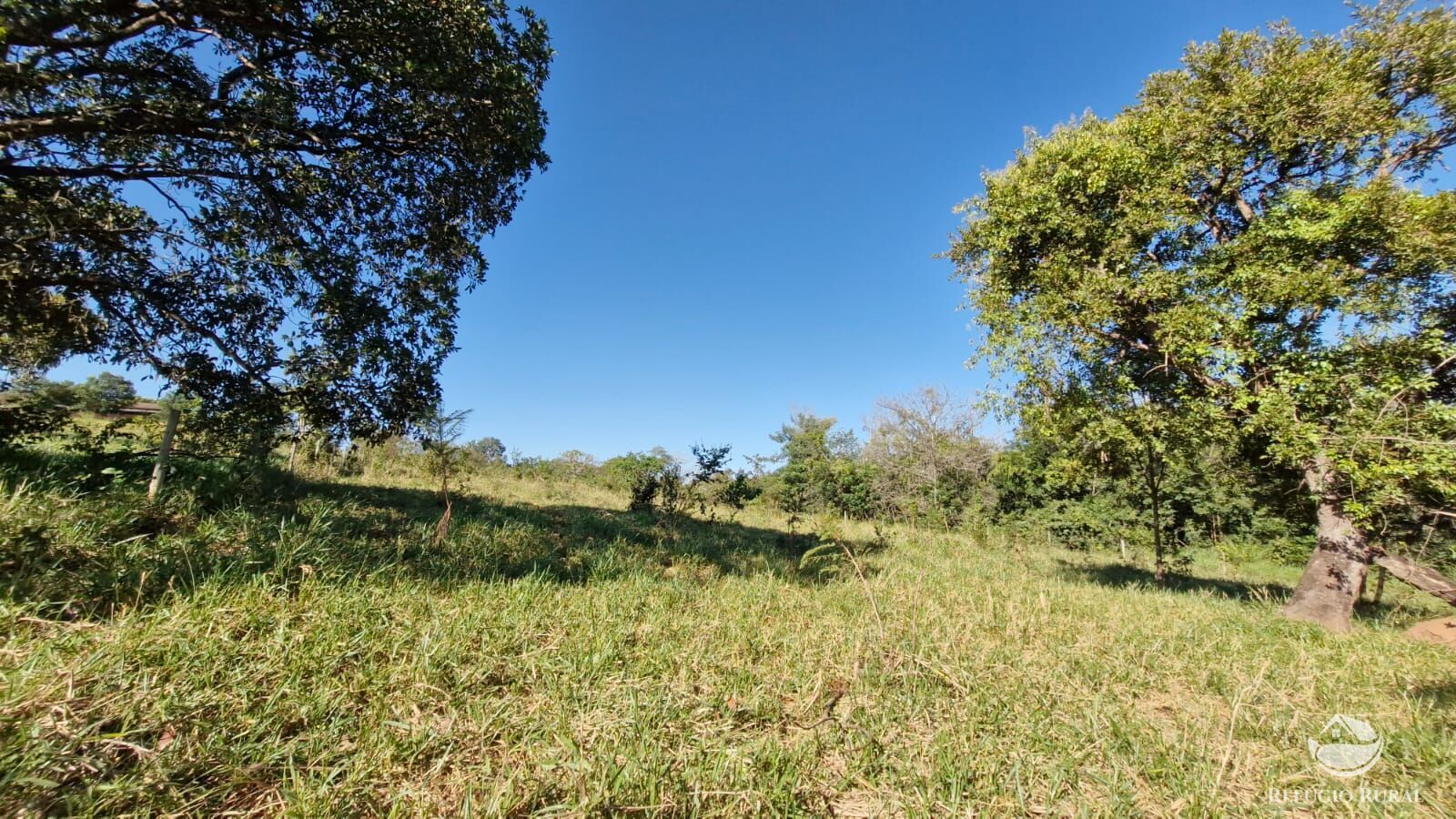 Fazenda à venda com 4 quartos, 822800m² - Foto 13