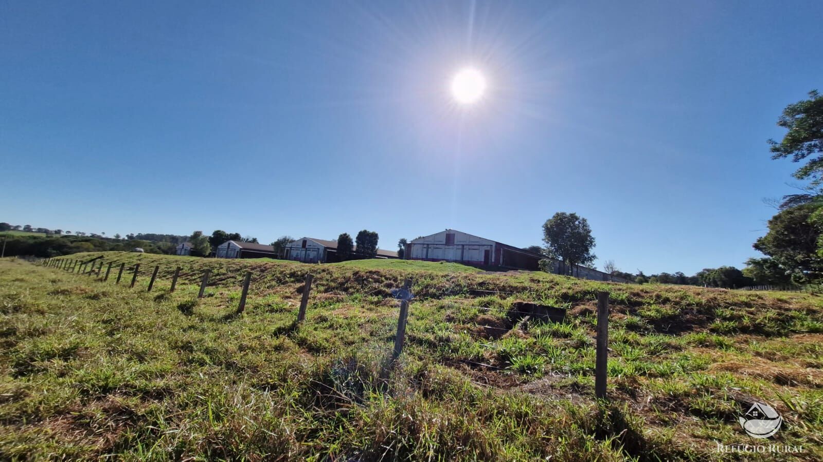 Fazenda à venda com 4 quartos, 822800m² - Foto 12