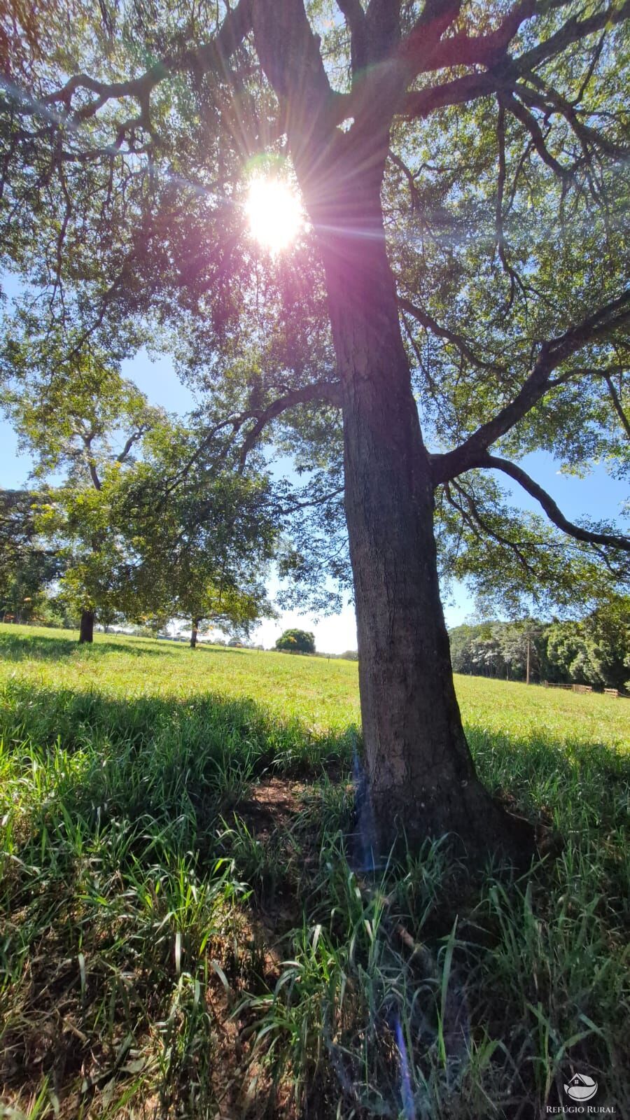 Fazenda à venda com 4 quartos, 822800m² - Foto 32